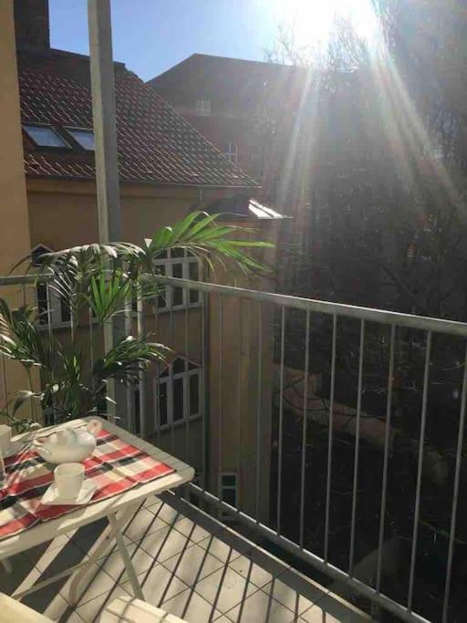Komfortables Appartement Zentral Gelegen Erfurt Eksteriør bilde
